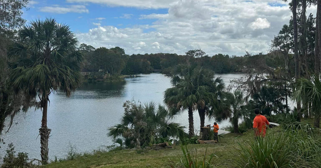 Rainbow River View Restoration