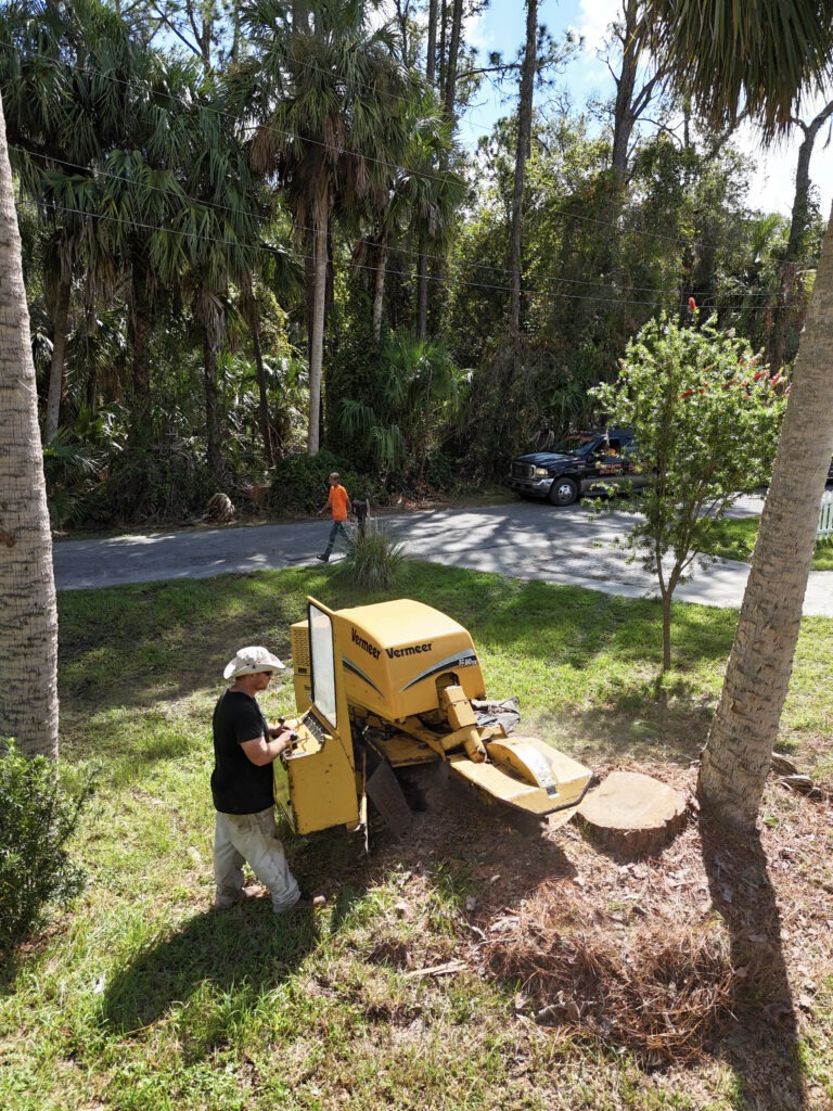Stump Grinding in Marion County Florida