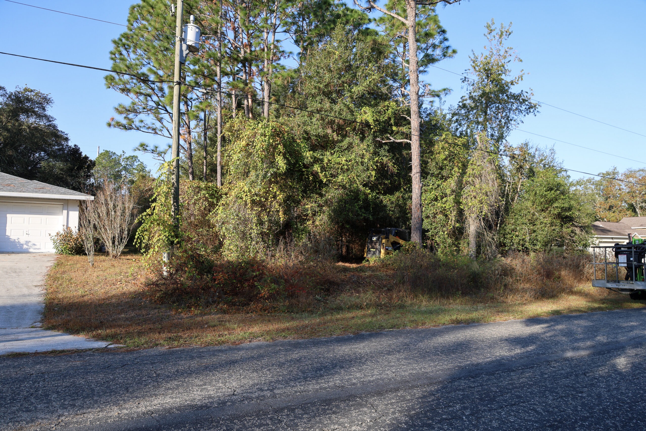 We come to your home and give you a free estimate of your problem trees