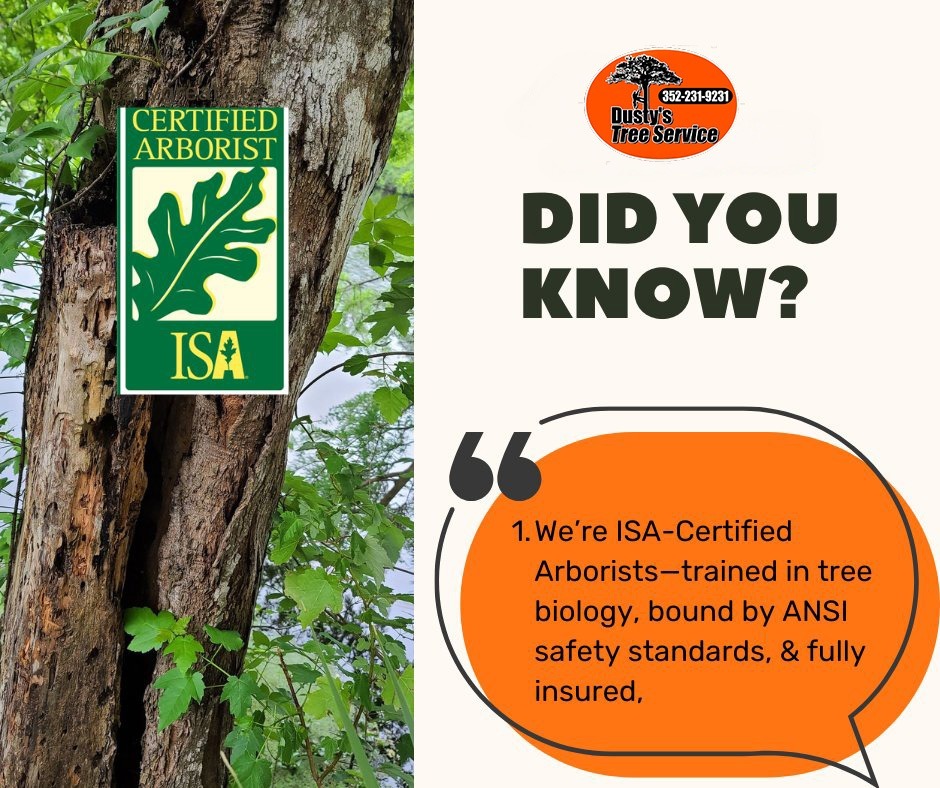 Certified Arborist - Tree Inspections