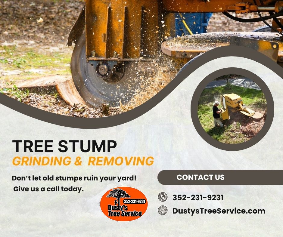 stump grinding in dunnellon fl