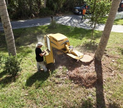 Stump Grinding
