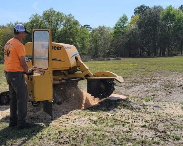 After land Clearing, we can grind the stumps left beind