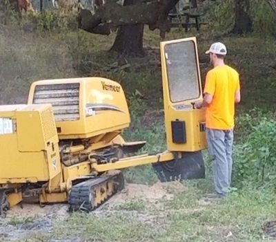 Tree Stump Grinding in Dunnellon FL