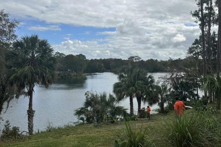 After the oak tree has been removed and the view of the Rainbow River is enhanced again