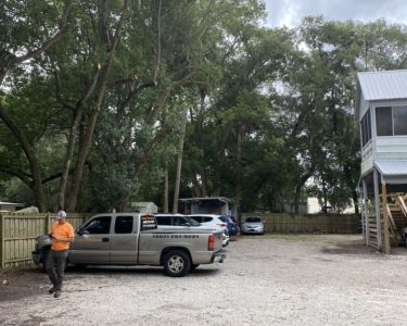 After the trees were pruned over the parking lot at blue run veterinary practice in dunnellon florida