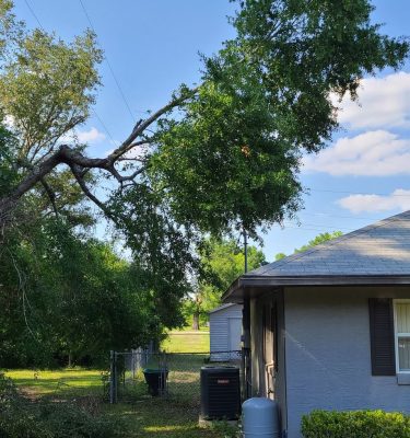 Before photo of a tree that was trimming above a blue house in dunnellon florida