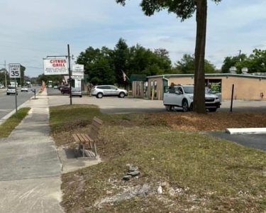 Commercial Tree Trimming in Dunnellon