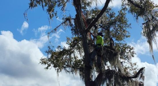 Our climber is knowledable