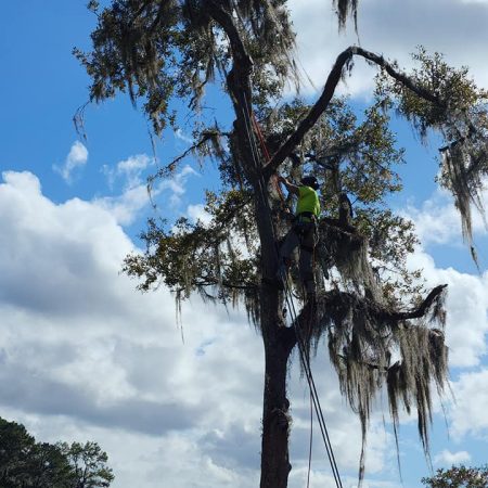 Our climber is knowledable