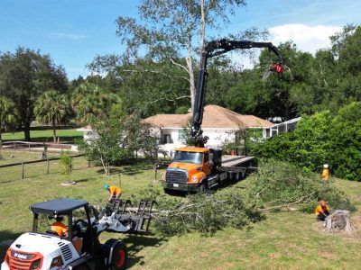 Tree Trimming Header Image