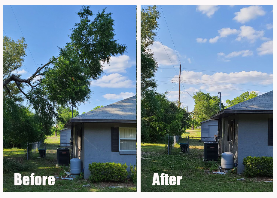 before and after blue house