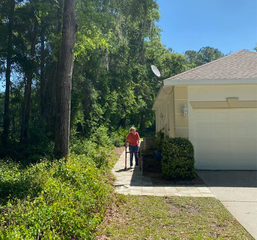 before image of brush and pine tree trimming done next to a home in dunnellon florida