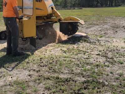An employee of Dusty's Tree Service grinds a stump in a field