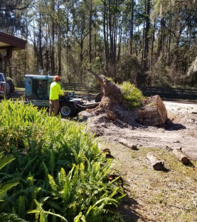A tree trump left after a removal is ground away by a stump grinder controlled by an employee with Dusty's Tree Service