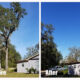 Before and After tree removal in Crystal River Florida