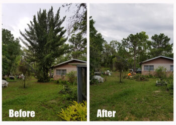Before and after of a large tree next to a home that would eventually become a hazard to the property