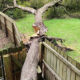 Storm Clean Up Service Home Page - Emergency Tree Removal