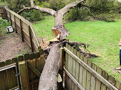 Storm Clean Up Service Home Page - Emergency Tree Removal