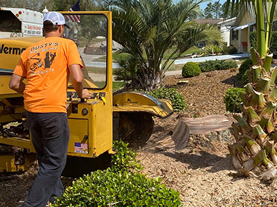 Stump Grinding Service Home Page