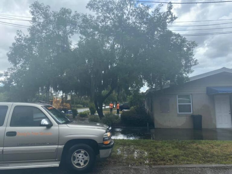 Downtown Dunnellon Historic District Building before