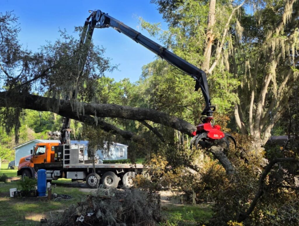 Storm Damage Clean up