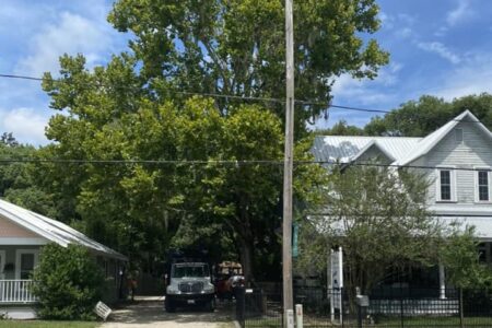 Tree Inspections in Williston Florida