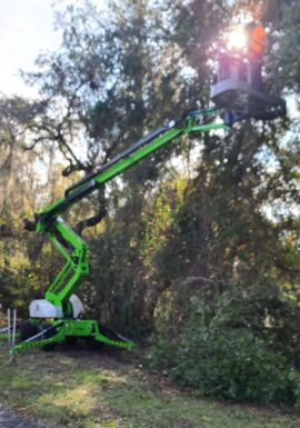 Clearing Trees for a new fence line at the Duke Energy Transfer Station in Dunnellon, Florida.