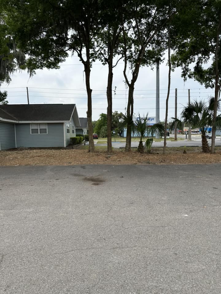 Trees Removed and Pruned around the parking lot of citrus grill in dunnellon, florida