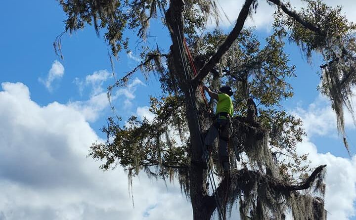 Our climber is knowledable