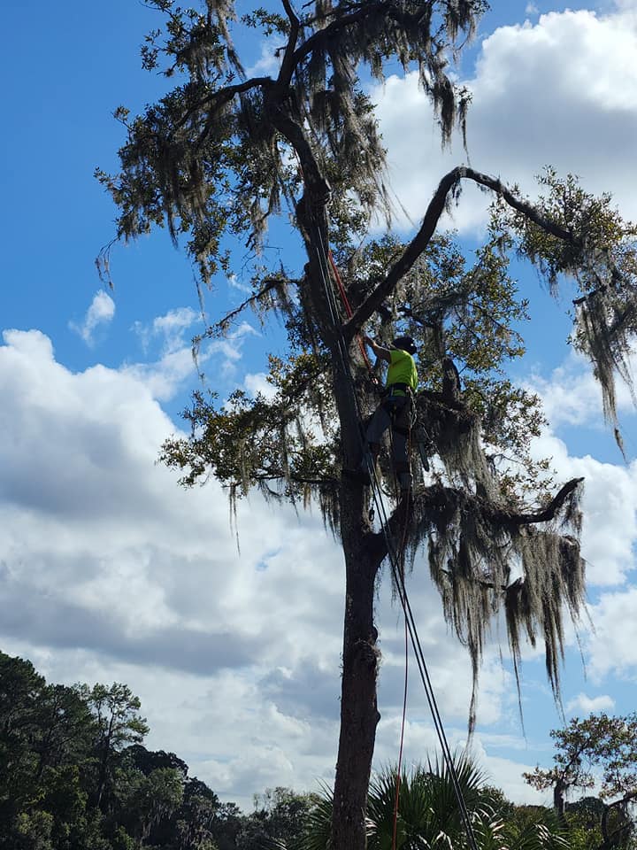 Our climber is knowledable