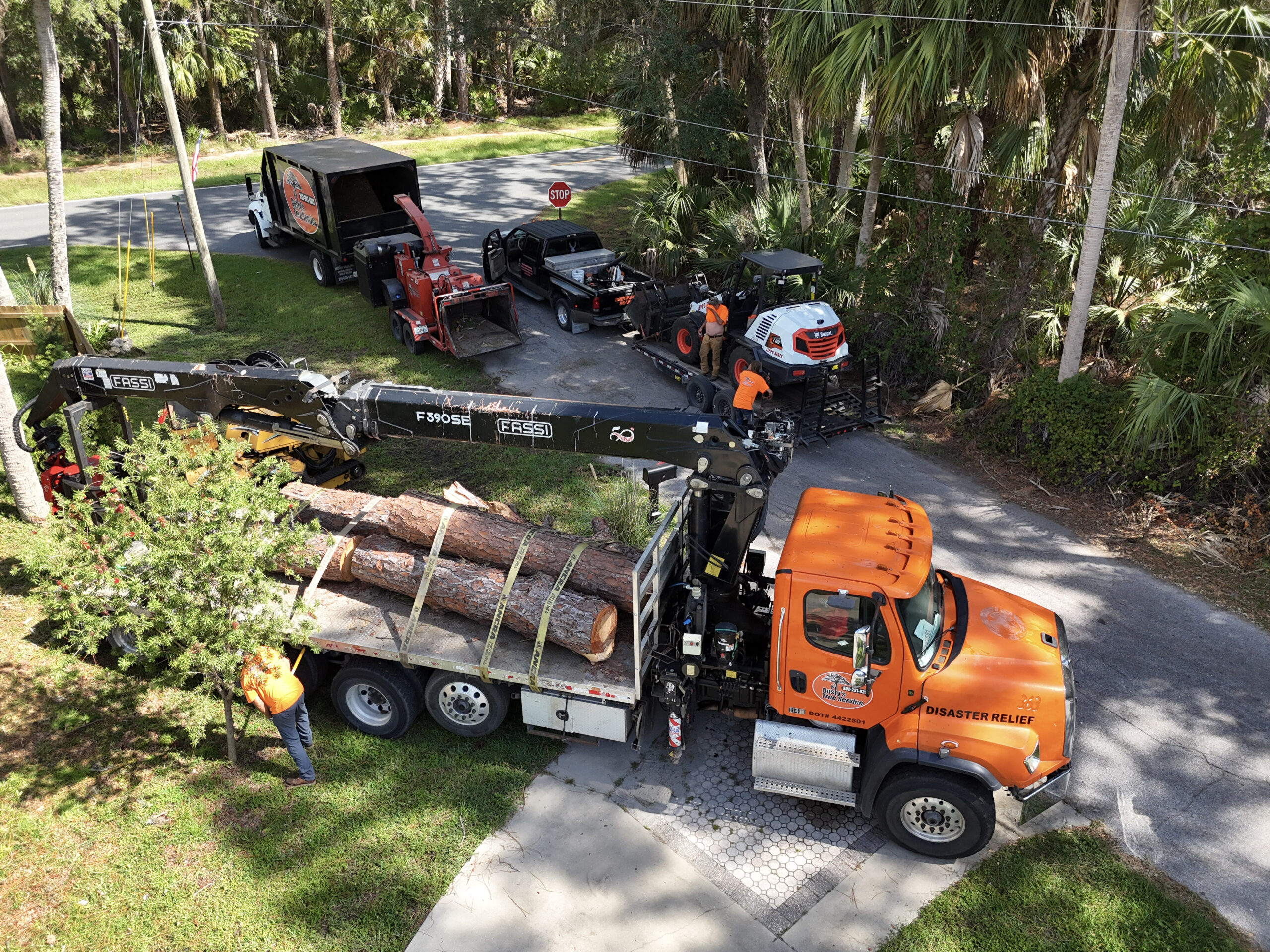 Contact DUSTY'S Tree Service for Tree Removal