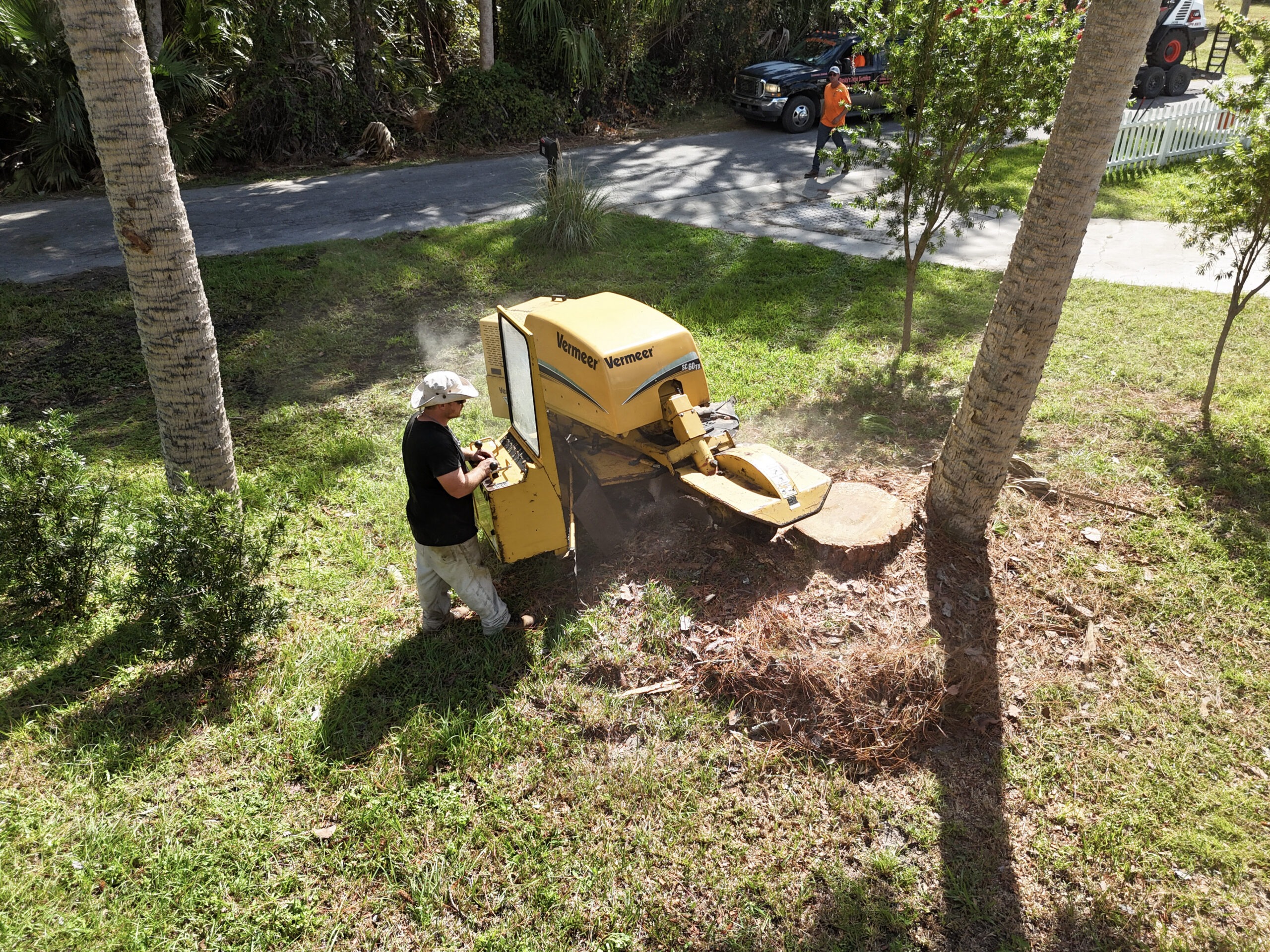 Stump Grinding