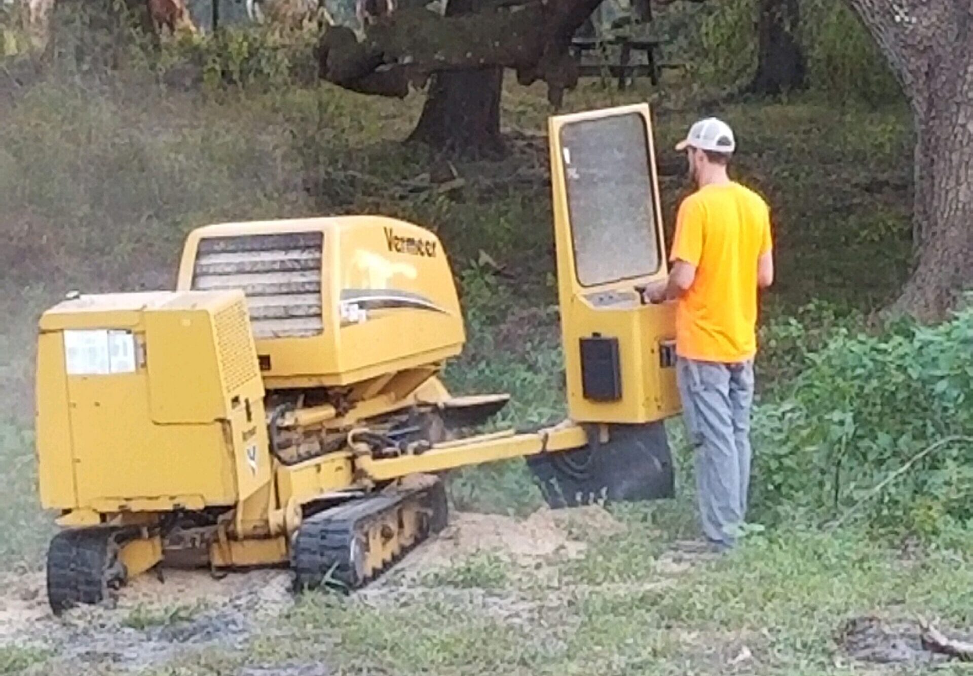 Tree Stump Grinding in Dunnellon FL