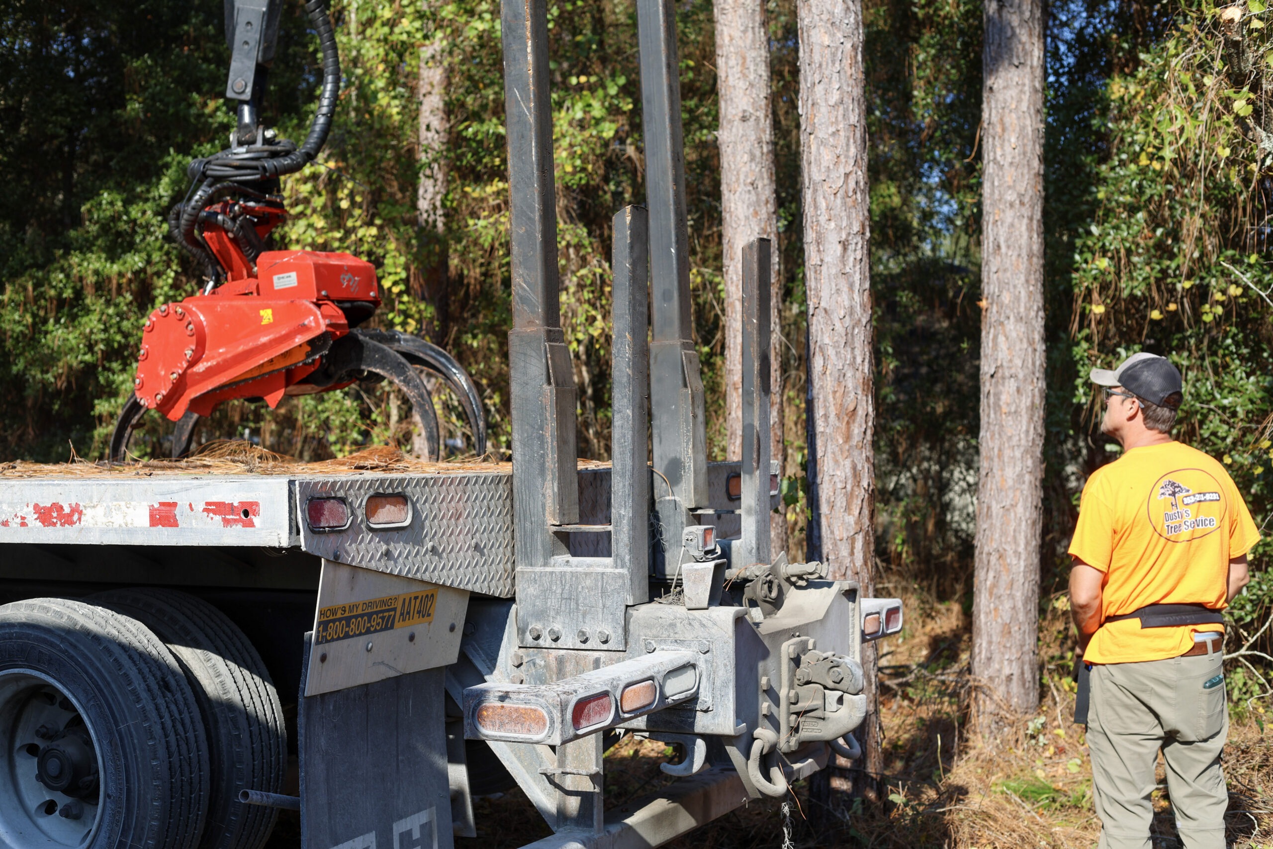 Contact Dusty's Tree Service - Tree Removal