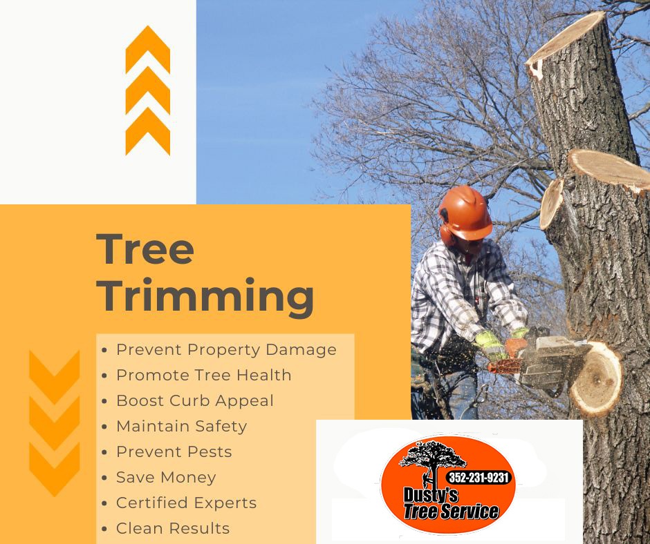 Tree Trimming Benefits