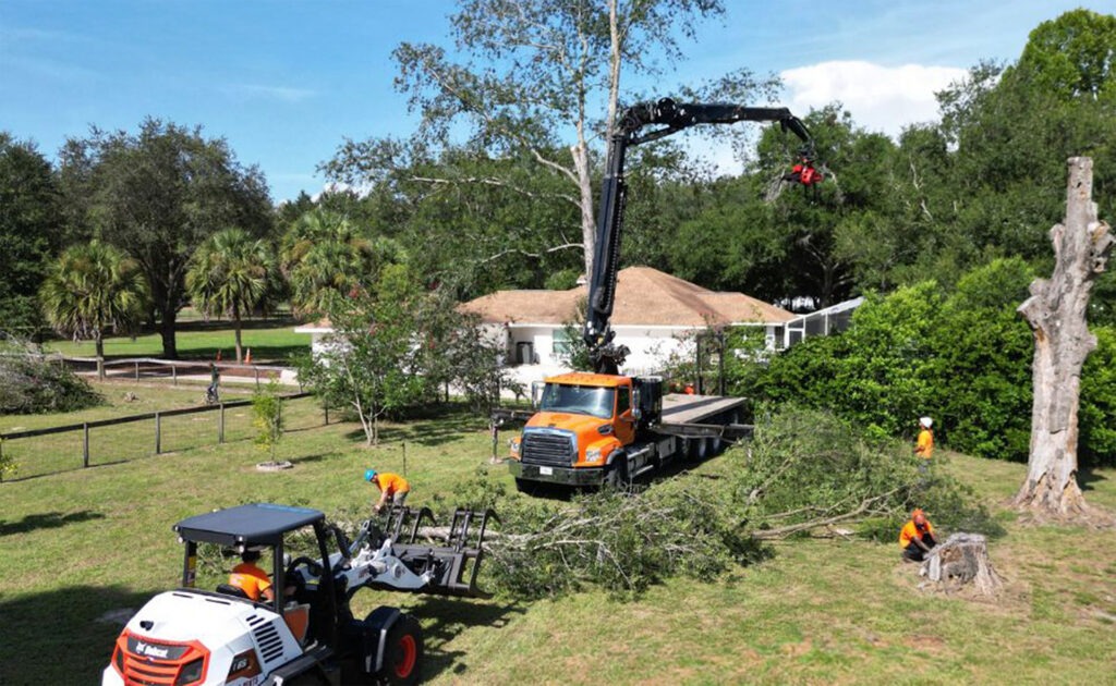 Tree Trimming Header Image