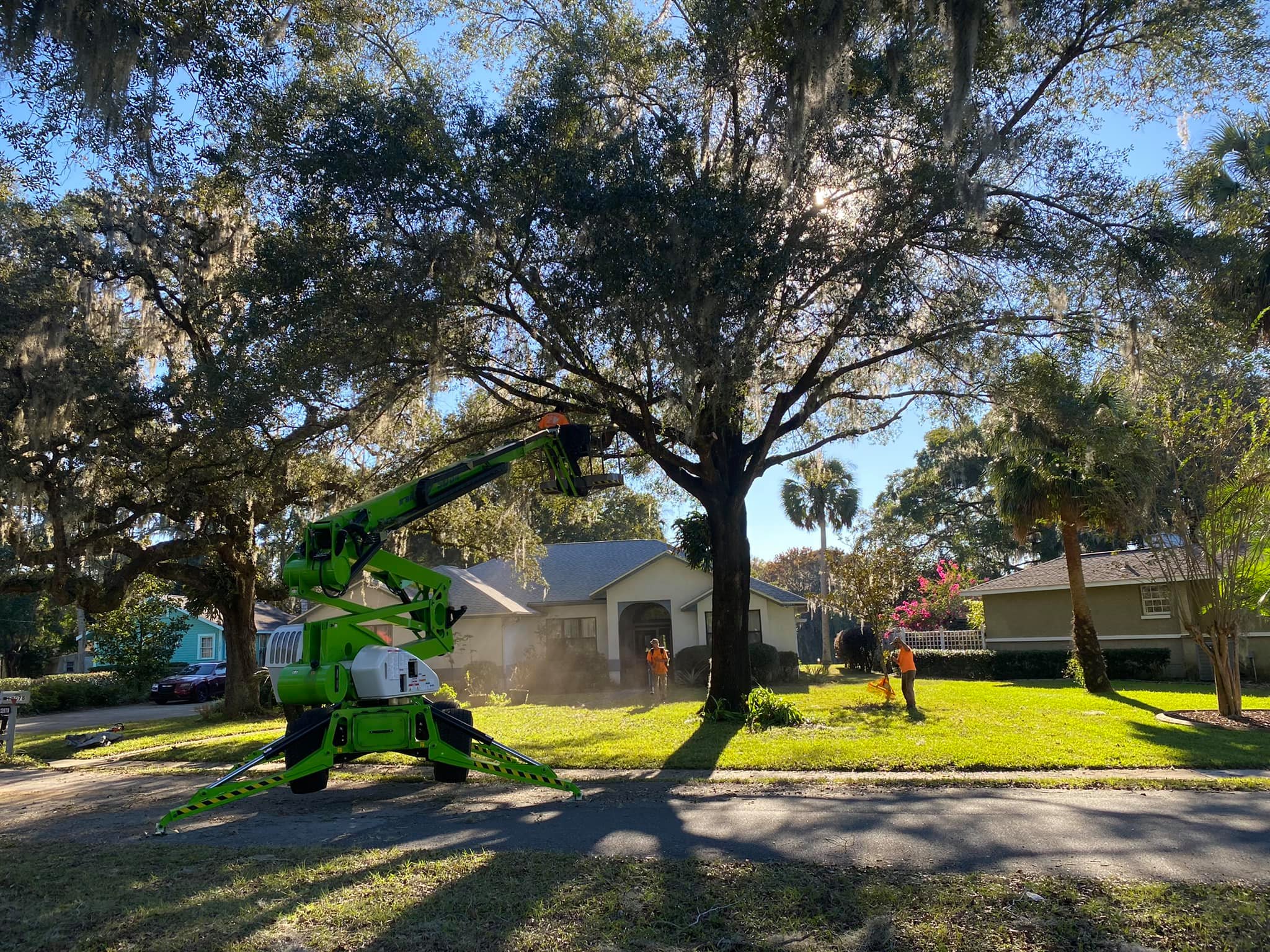tree trimming in Crystal River Fl