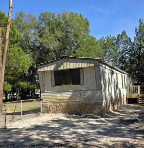 After Tree removal homosassa florida
