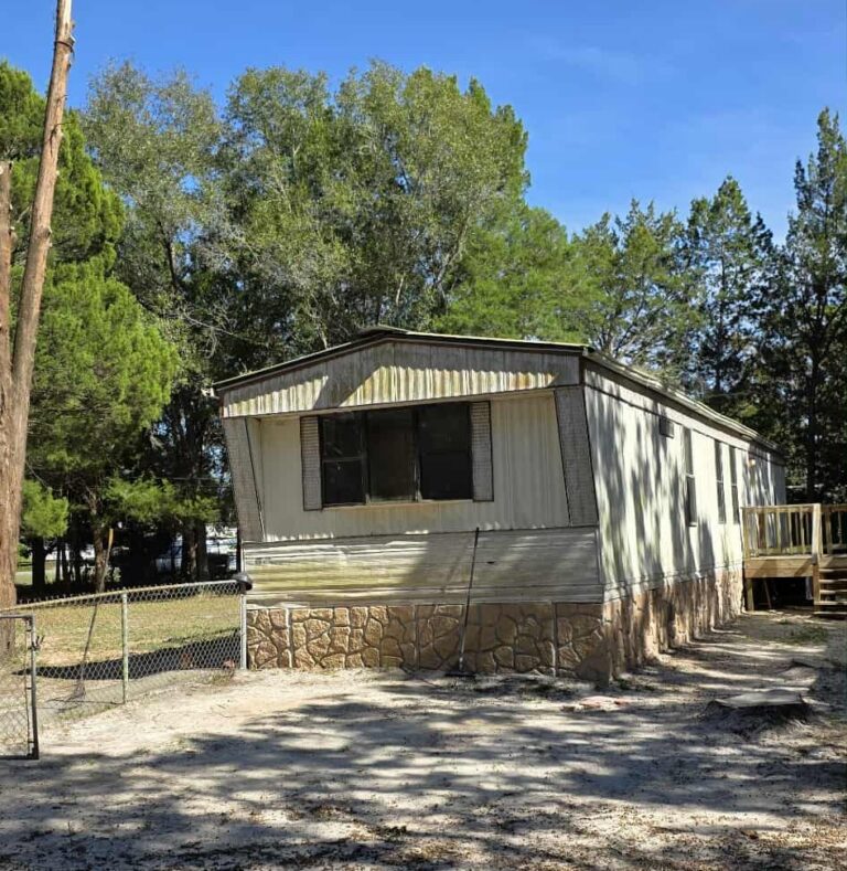 After Tree removal homosassa florida