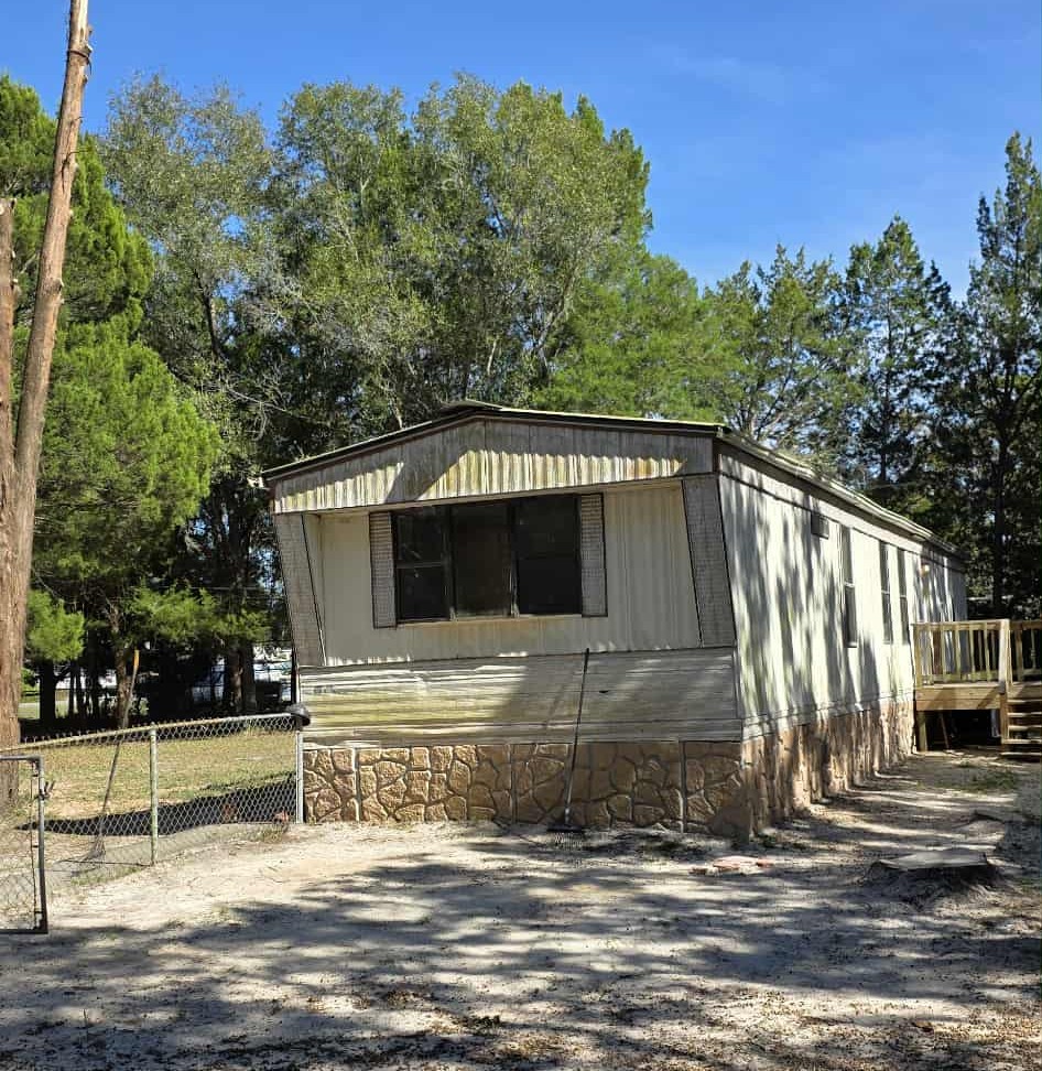 After Tree removal homosassa florida