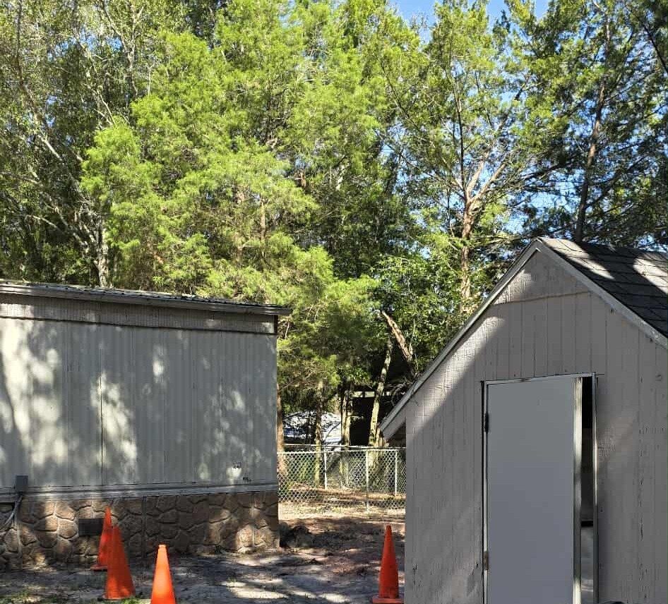 After large tree is removed from behind home in homosassa
