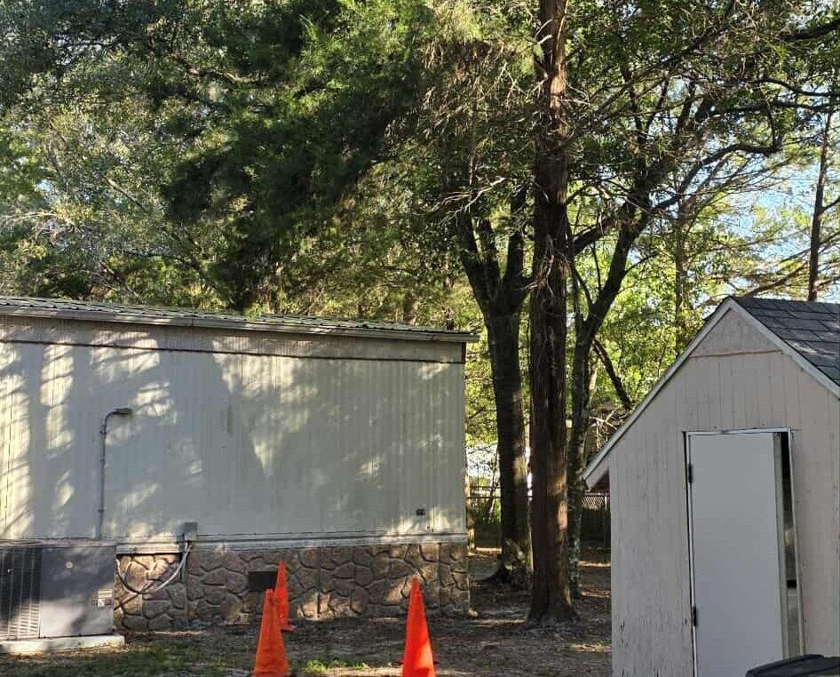 Hazardous Tree that needs to be removed next to a mobile home in homosassa
