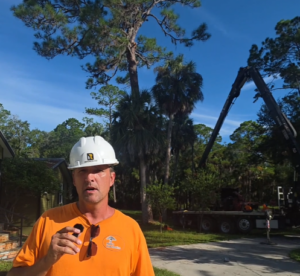 Dusty talks about the remote control tree removal of a pine in yankeetown fl