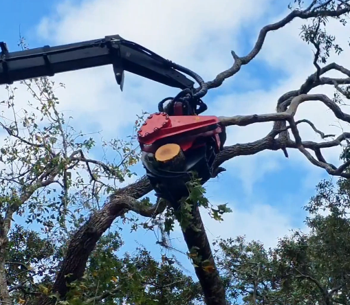 The Fassi 390 Grapple Saw navigates 15 foot timber through tight spaces