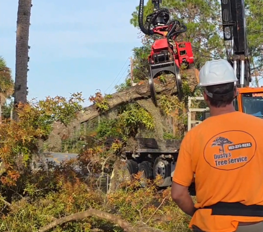 dusty uses the grepple claw to effortlessly drop limbs down to the ground