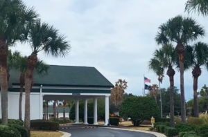 Spruce Creek Preserve Palm tree trimming