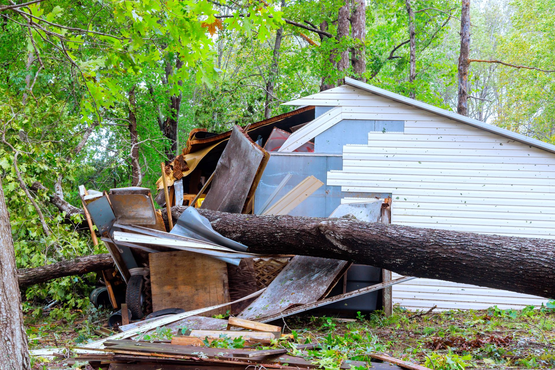 damaged shed by a falling pine tree in inglis florida - storm cleanup