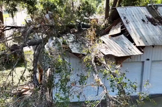 A massive leader crashed through this shop