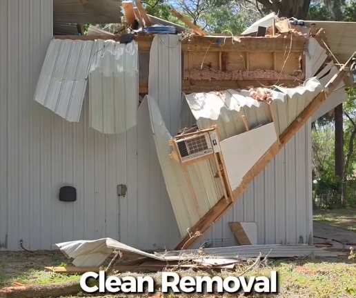 After emergency tree limb removal in ocala